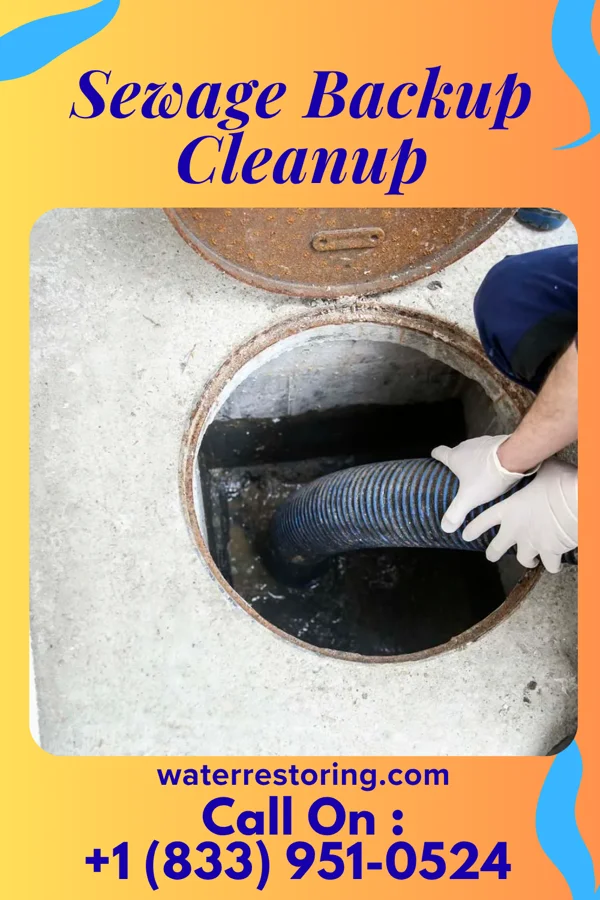 Sewage Backup Cleanup in Leonard, MN